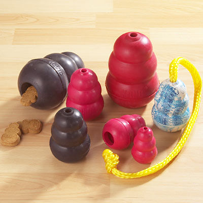 Kong  Toys on If Every Dog In The World Could Be Given One Toy I Think The Kong