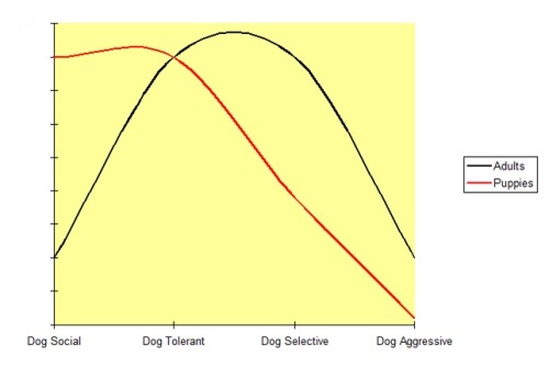 Normal dog sociability levels change as a dog matures.